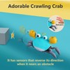 Crawling Crab Baby Toy (Green)
