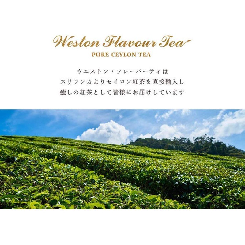 Ceylon Tea [English Breakfast] Tea Bags 0.07 oz (2 g)