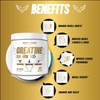 Maverick Nutrition Creatine Powder for Men - Creatine Powder -