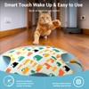 WAKHJAKT Interactive Cat Toy, 2-in-1 Automatic Cat Toys with Hide/Seek