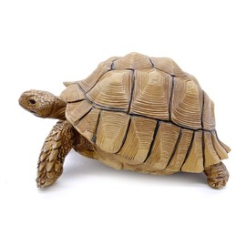 PPCLION Sulcata Tortoise Statue Figurine Collection Gift Decorations