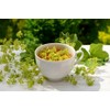Lowhill Valley Lady's Mantle Herb Herbal Tea - Nature's Magic