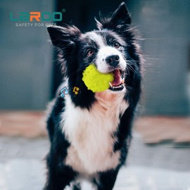 LaRoo Dog Toy Ball, Dog Sound Ball, Softball, Soccer, Rugby, Puppy, Medium Dog, Large Dog Toy