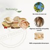 Naturelia 100% Compostable 6-Inch Palm Leaf Disposable Plates Square- Biodegradable