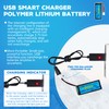 AMZZN 3.7V 1800mAh 30C Lipo Battery with Molex Plug and