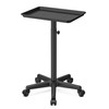 Premium Aluminum Instrument Salon Tray Tattoo Rolling Tray Station