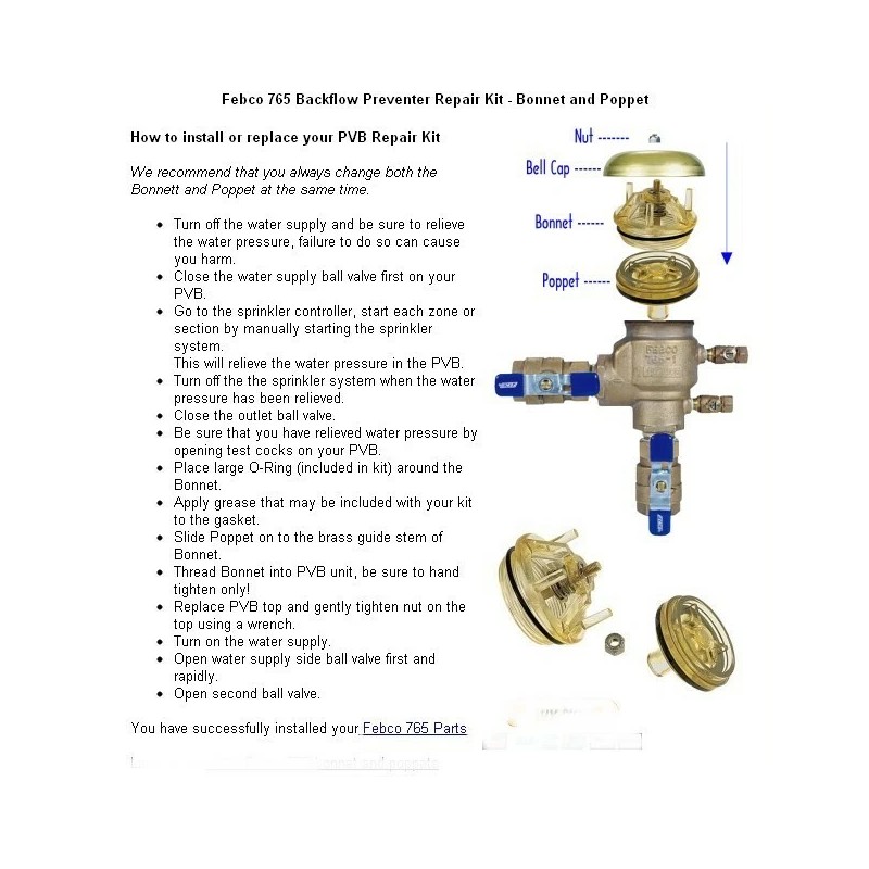 FEBCO OEM Febco 1/8" Male Thread X 1/4" Male Compression