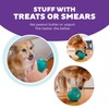 Outward Hound Double-Tuff Interactive Treat Stuffer Dog Chew Toy, Durable