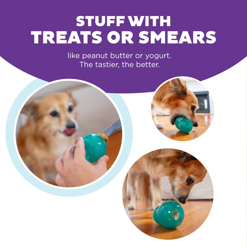 Outward Hound Double-Tuff Interactive Treat Stuffer Dog Chew Toy, Durable