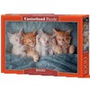 Castorland 1000 Piece Jigsaw Puzzle: The Cutest Kittens