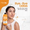 Healov Persimmon Body Wash for Body Odor Control – Natural