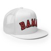 RIVEMUG NG Bama Embroidered Flat Bill Trucker Hat High Crown