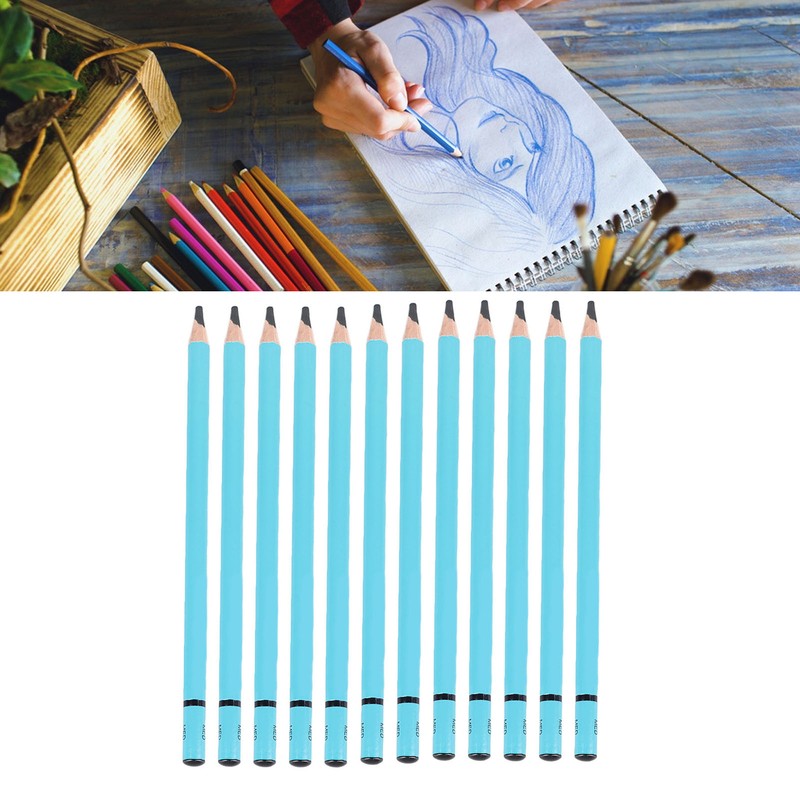 12pcs Charcoal Pencils Set Synthetic Wood Sketching Drawing Pencils for