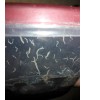 The Fish Food Dude 2 oz Grindal worm starter culture