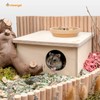 Niteangel Birch Chamber Maze Hamster Hideout - Small Pets Forest
