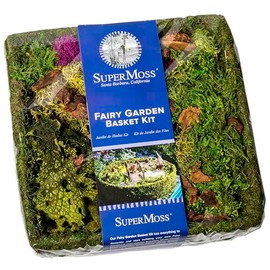 SuperMoss (50362 Fairy Garden Basket Kit, Fresh Green, 10in Square