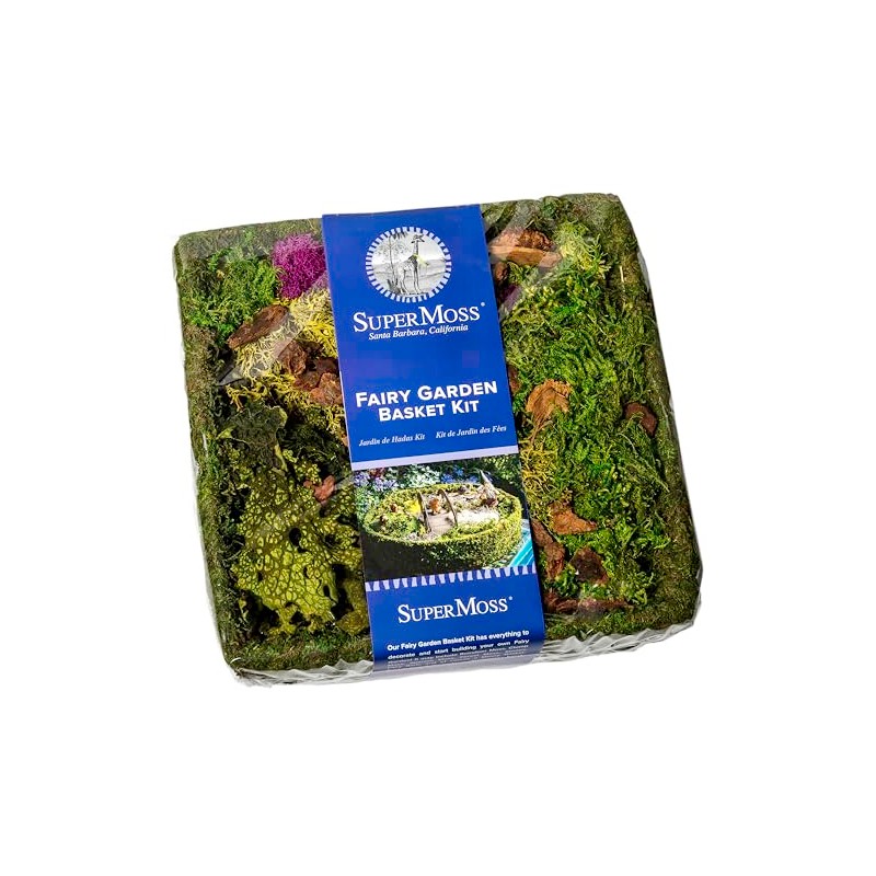 SuperMoss (50362 Fairy Garden Basket Kit, Fresh Green, 10in Square