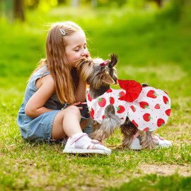 5 Pack Girl Dog Clothes Floral Summer Puppy Princess Bowknot Dog Dresses for Small Dogs Girl Clothes Cute Outfits for Boys Girls Pets Cats Dogs