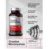 Horbäach Creatine Monohydrate | 5g | 225 Capsules | Non-GMO,