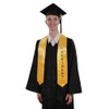 CLERKMANS Unisex Class Officer Graduation Stoles, Pointed Class Leadership Stoles