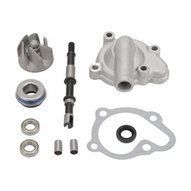 GOOFIT Water Pump Assy Replacement for Helix CN250 Elite CH250 250cc Water-cooled ATV Scooter