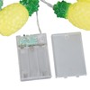 9.8ft 20LEDs Fruit String Lights Battery Operated String Lights for
