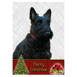 Scottie/Scottish Terrier Dog Christmas Card 'Merry Christmas' - Special Animal Xmas Card for Him Her from Pets Kids