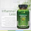 Irwin Naturals Inflamma-Less, Promotes Comfort, Mobility & Flexibility, 80 Liquid