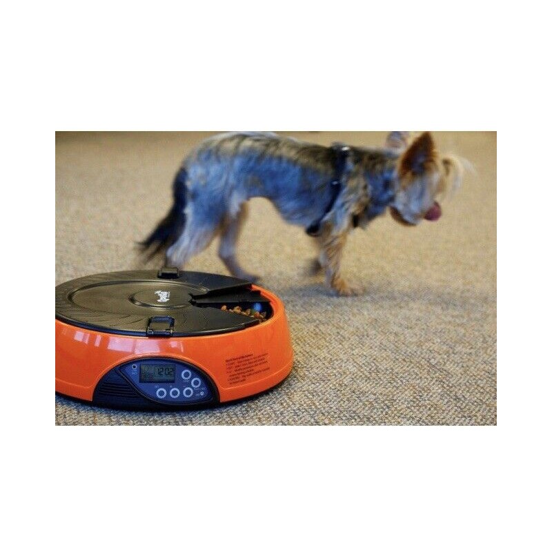 Qpets Programmable Automatic Pet Feeder, for Dog, Cat & Small