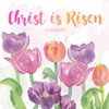 Religious Easter Cards - Christ is Risen, pack of 5,