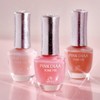 Bandi 손톱 영양제 반디 네일큐어 핑크다이아 톤픽스 Nail Nutrient Bandynail