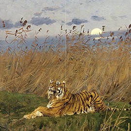 A Tiger Among Rushes in The Moonlight by GEZA Vastagh Animal Beast Predator Tile Mural Kitchen Bathroom Wall Backsplash Behind Stove Range Sink Splashback 2x2 8" Ceramic, Matte