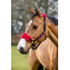 LeMieux Vogue Fleece Headcollar - Halter & Leadrope (Chilli -