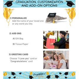 DolliBu Grey Dolphin Graduation Plush Toy - Super Soft Dolphin Graduation Stuffed Animal Dress Up with Graduation Cap with Tassel - Reward Celebration Grad Gift - 12.5 Inch