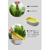 YFFSFDC Hydroponics Cat Grass Box Set of 2 Cat Grass