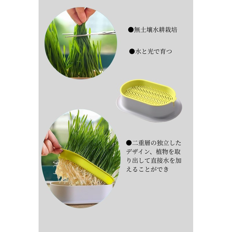 YFFSFDC Hydroponics Cat Grass Box Set of 2 Cat Grass