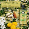 Shampoo Herbal Essences Brillo Manzanilla & Pasiflora 400 ml