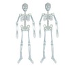 Hosendo Glowing Skull Doll 35.4 inches (90 cm), Set of