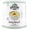 Augason Farms Cheesy Broccoli Soup Mix 3 lbs 5 oz