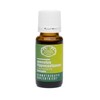 RATHAUS APOTHEKE WIEN Concentrated Bud Extract - Gemmotherapy - Aesculus