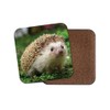 1 x Hedgehog Cork Backed Drinks Coaster - Garden Animals