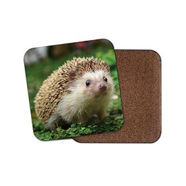 1 x Hedgehog Cork Backed Drinks Coaster - Garden Animals Kids #8205