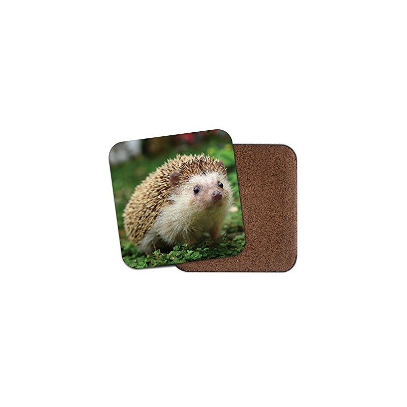 1 x Hedgehog Cork Backed Drinks Coaster - Garden Animals