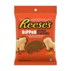 REESE'S Milk Chocolate and Peanut Butter Candy Dipped Animal Crackers,