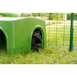 Zippi Rabbit Shelter | Fun & Great Addititon to Your Rabbit Run or Playpen | Provide Protection from The Weather Whilst Offering a Secure Relaxing Space | Two Entrances | Green