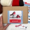 Bergin & Bath Needle Felting Kit - Robins. Christmas Craft