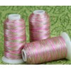 Variegated Polyester Embroidery Thread by Threadart - 40wt - 1000m