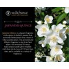 Seda France - Japanese Quince 3 Wick Candle