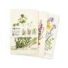 Royal Botanic Garden Edinburgh Set of 3 Mini Notebooks (Mini