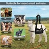 Eslinga para Becerros para Pesar Animales, Malla de Nailon Transpirable,